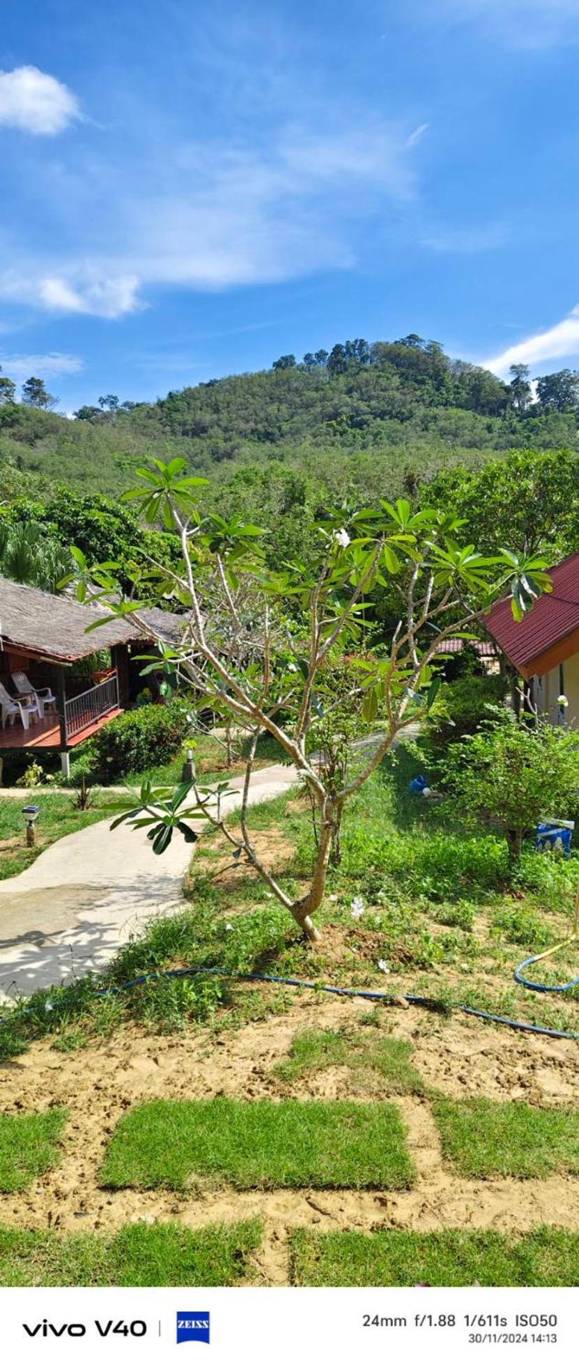 Mookies Bungalows Koh Mook Exterior photo